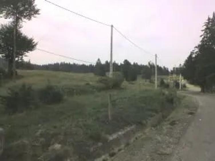 Teren de 5000 mp, în Moroeni