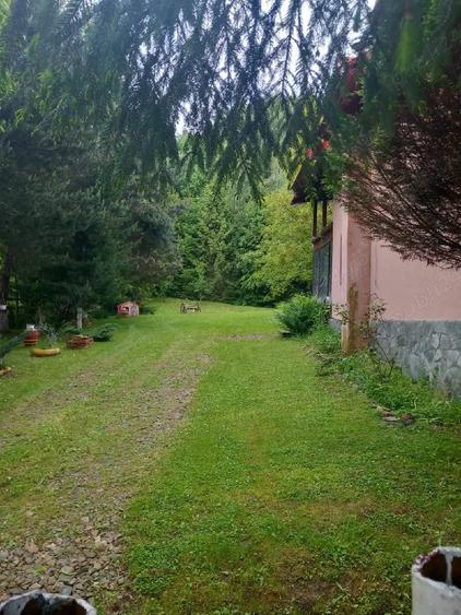 Casă în Poiana