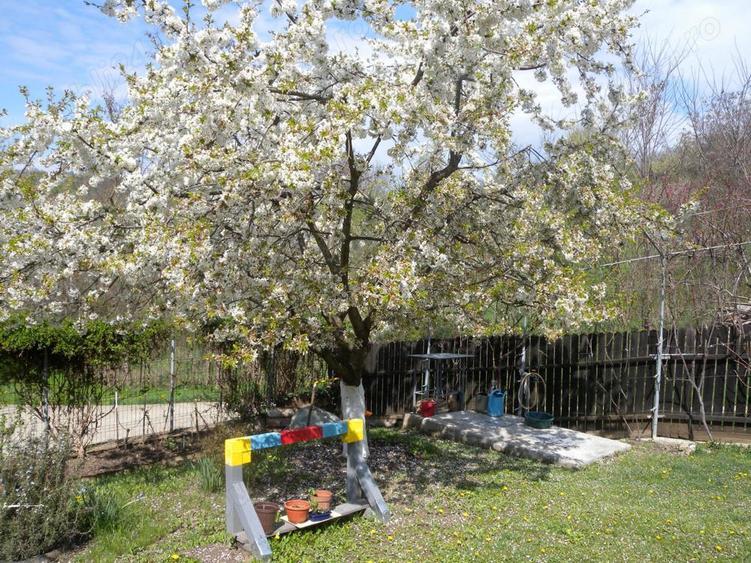 Casă cu 4 camere în Vălenii de Munte