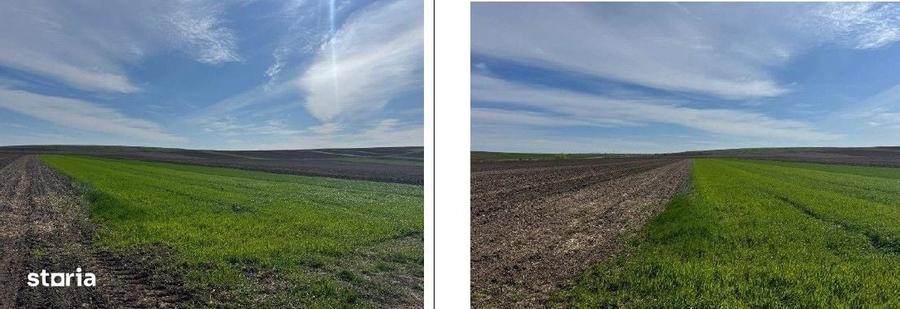 Teren de 3600 mp, în Corni