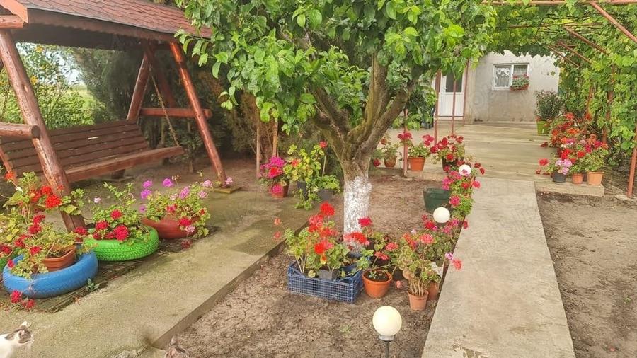 Casă cu 4 camere cu Teren 4300 Mp în Chirnogi