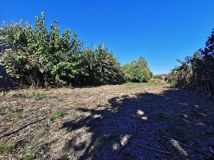 Teren Construcții intravilan de 1585 mp, în Ostroveni