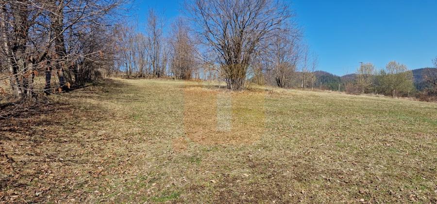 Teren Construcții intravilan de 4000 mp, în Alexandru cel Bun