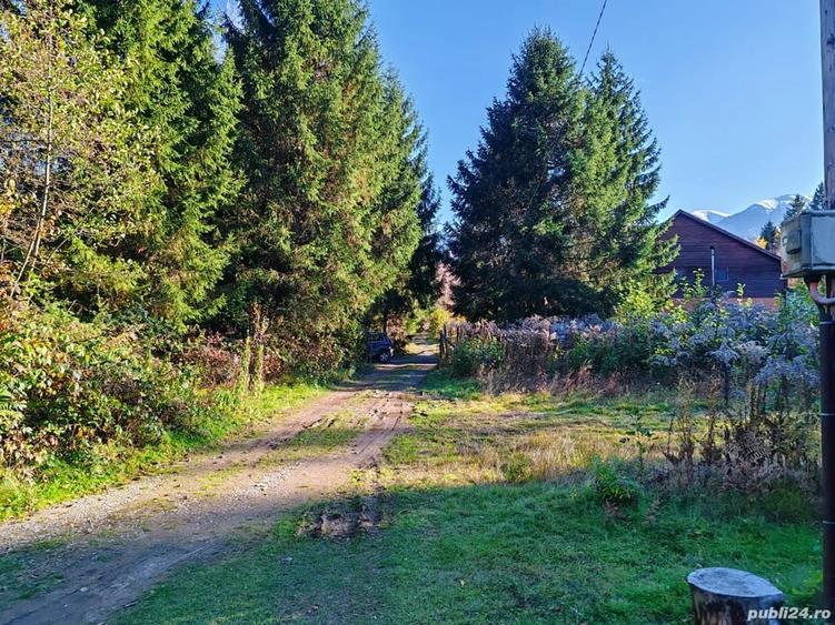 Teren de 600 mp, în Central