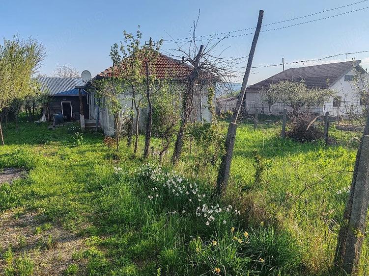 Casă cu Teren 5000 Mp în Unguriu