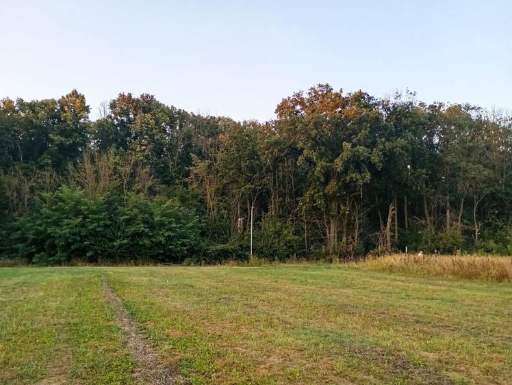 Teren intravilan 4800 mp lângă pădure în Scroviștea - 6