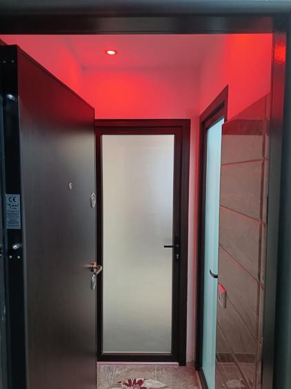 Garsonieră nedecomandată în Alexandru cel Bun