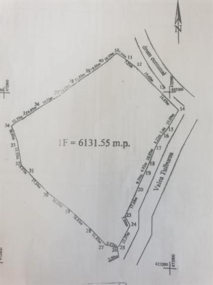 Teren Construcții intravilan de 6132 mp, în Poienari (Corbeni)