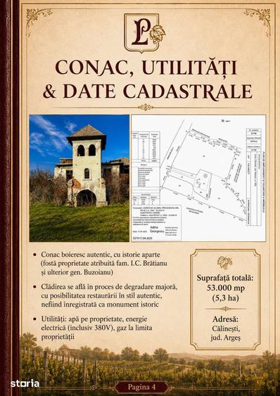 Teren de 53.000 mp cu vita de vie + Conac boieresc - 12