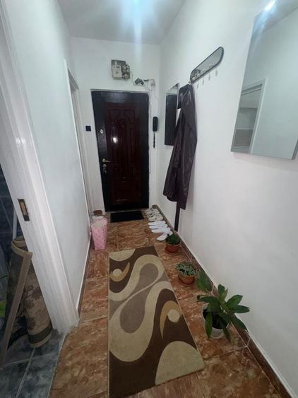 Apartament cu 2 camere în Nufărul