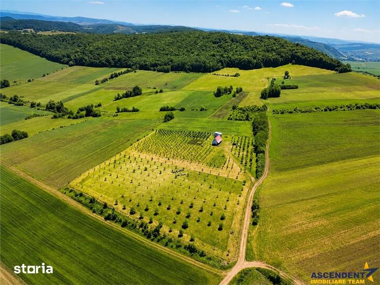 Teren de 25624 mp, în Glodeni