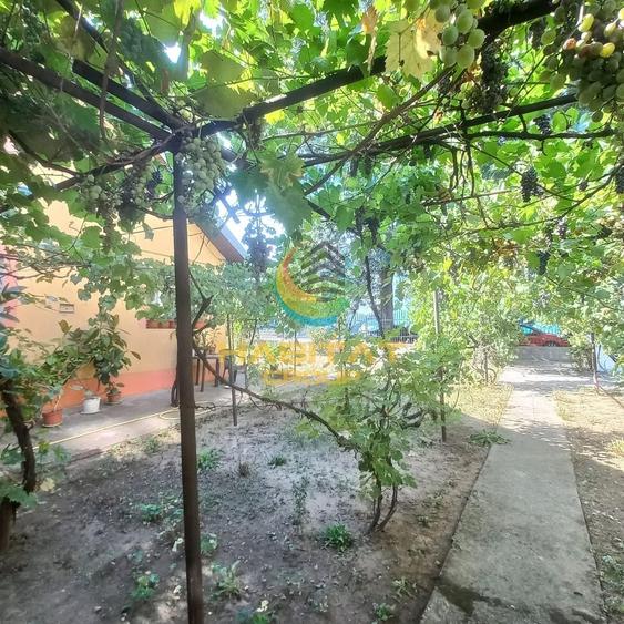 Casă individuală cu 6 camere cu Canalizare în Brâncoveanu