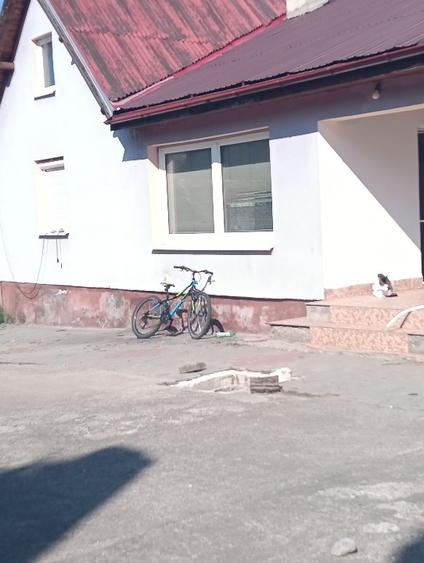 Casă individuală cu 4 camere cu Teren 1439 Mp în Saschiz