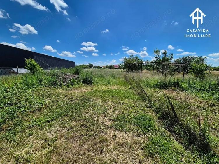 Casă cu Teren 2800 Mp în Săceni