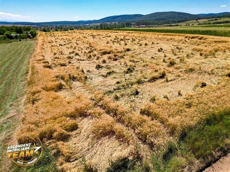 Teren agricol extravilan de 2268 mp, în Valea Crișului