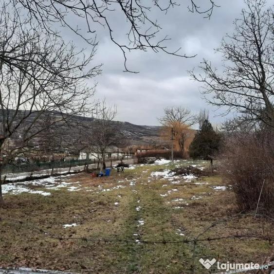 Teren în Central