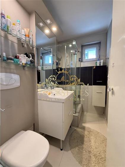 Vanzare apartament 2 camere Drumul Taberei, str. Brasov, Plaza Mall, Bucuresti - 11