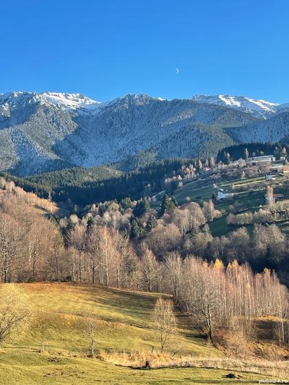 Teren de 10000 mp, în Bran