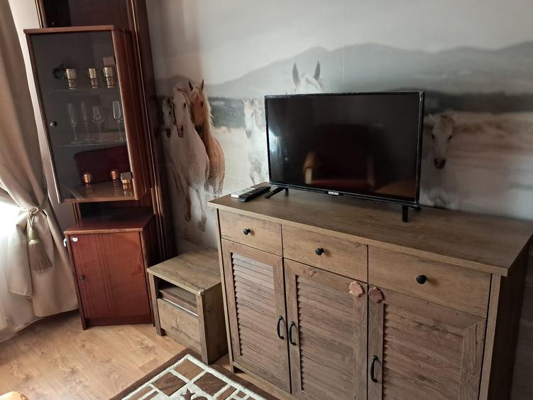 Apartament cu 2 camere, mobilat în Trocadero