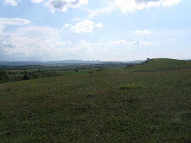 Teren de 26258 mp, în Apoldu de Jos
