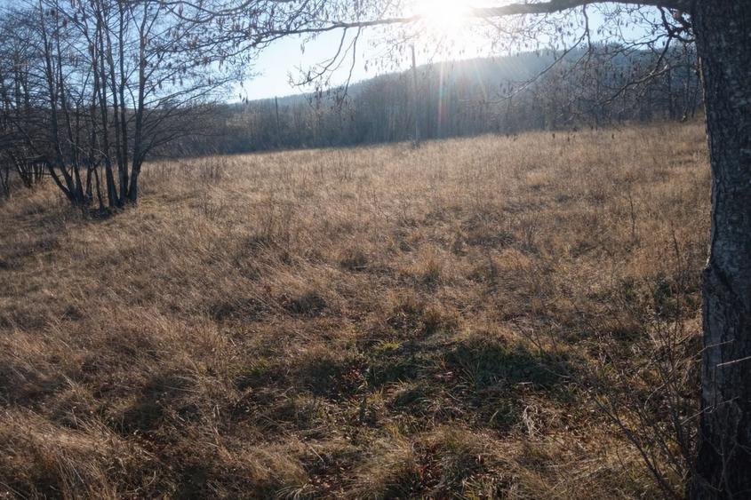 Teren Construcții extravilan de 5000 mp, în Vicovu de Jos