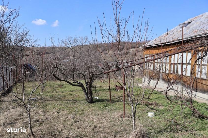 ASFALT SI UTILITATI racordate / Casa Soci, comuna Pancesti - 8