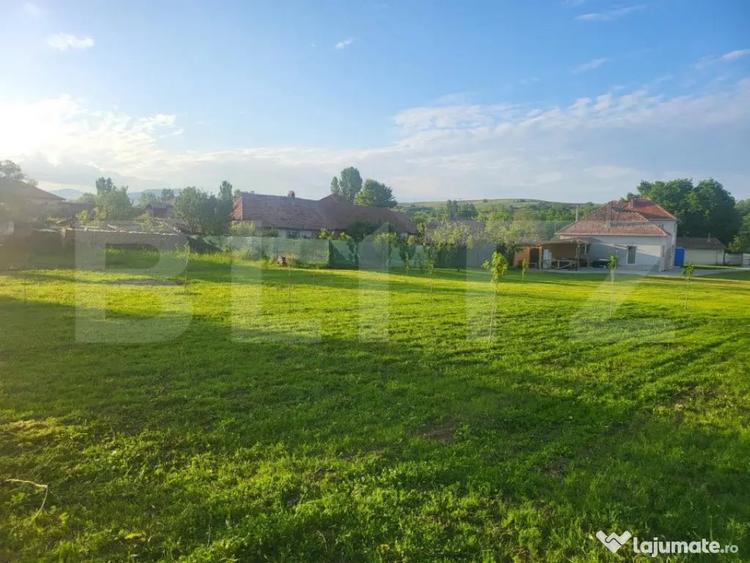 Casă cu 5 camere cu Teren 4079 Mp în Teiu