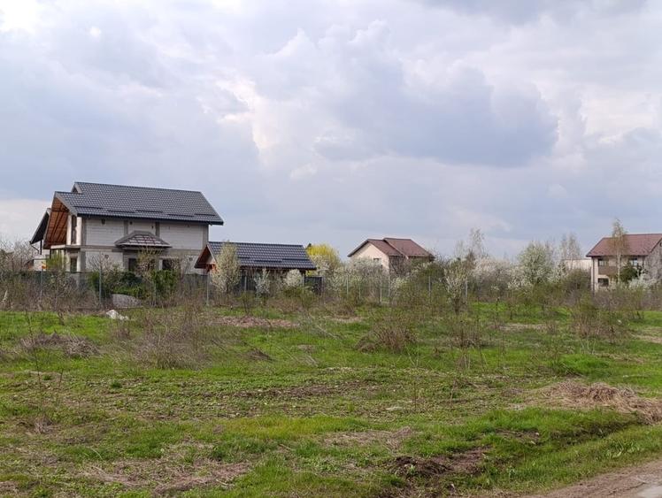 Teren în Domnești