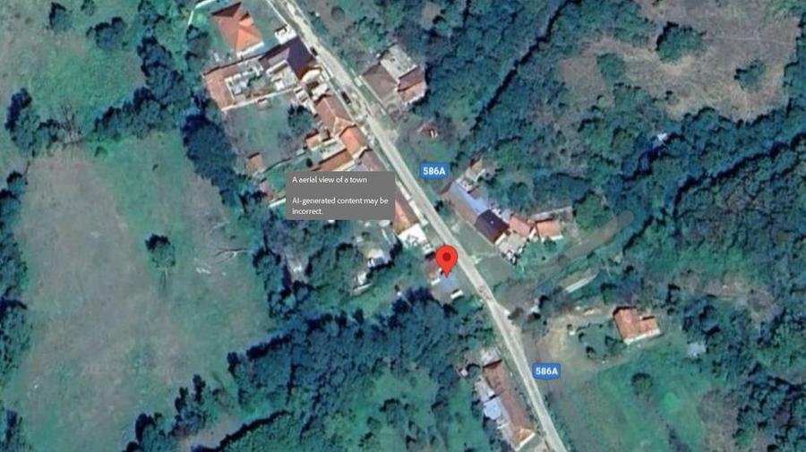 Casa si teren- Loc. Dognecea, jud. Caras-Severin - 7