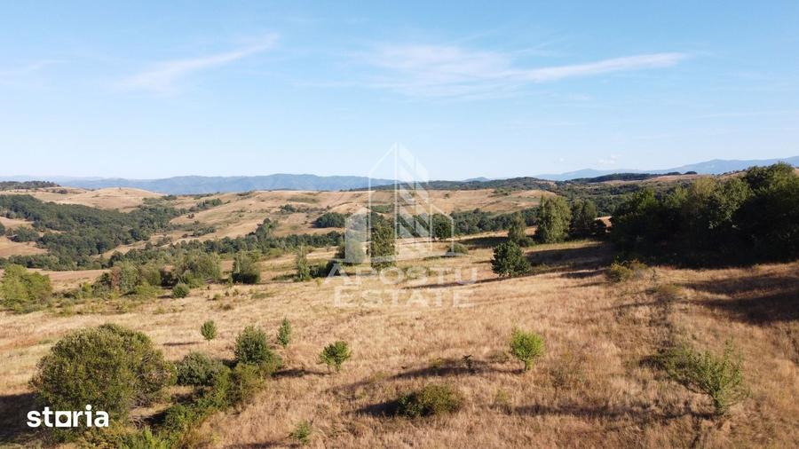 Teren de 50000 mp, în Teliucu Inferior