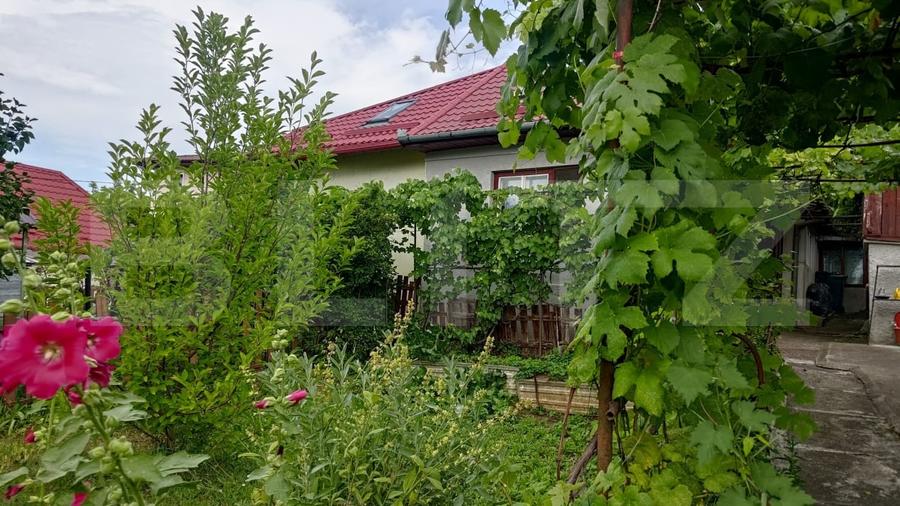 Teren Construcții intravilan de 305 mp, în Gruia