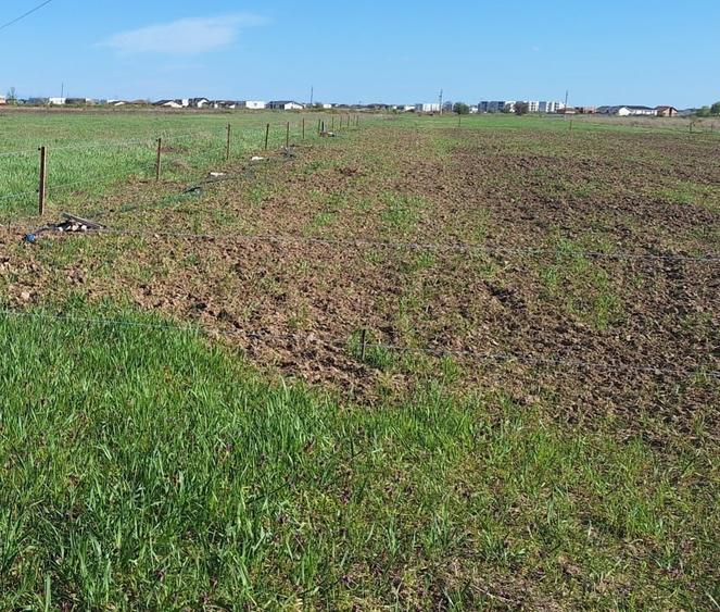Teren Construcții extravilan de 10000 mp, în Moșnița Nouă