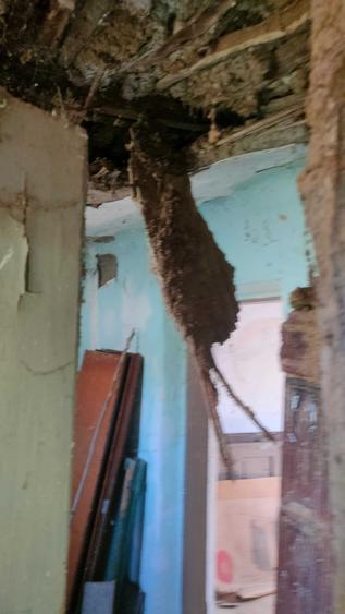 Casă cu 2 camere în Grădiștea