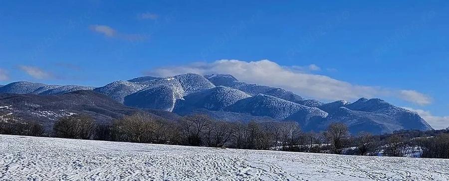 Teren de 5000 mp, în Pănicel