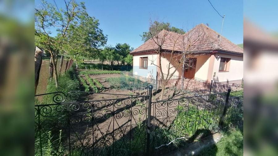 Casă cu 2 camere cu Canalizare în Ploscoș