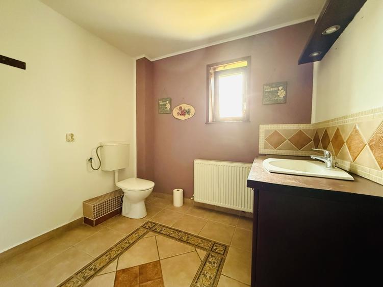 Casă individuală cu 5 camere cu Canalizare în Sânmihaiu Român