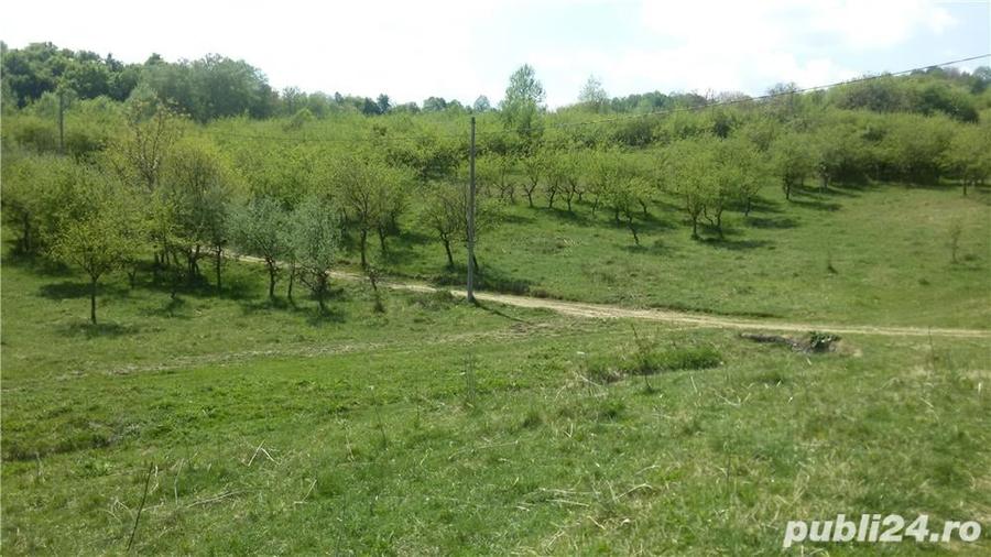 Teren de 950 mp, în Dealul Malului