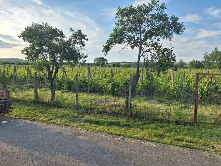 Teren de 2700 mp, în Valea Călugărească