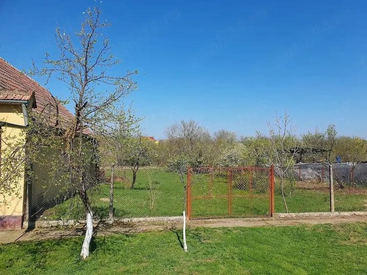 Teren de 1600 mp, în Călacea