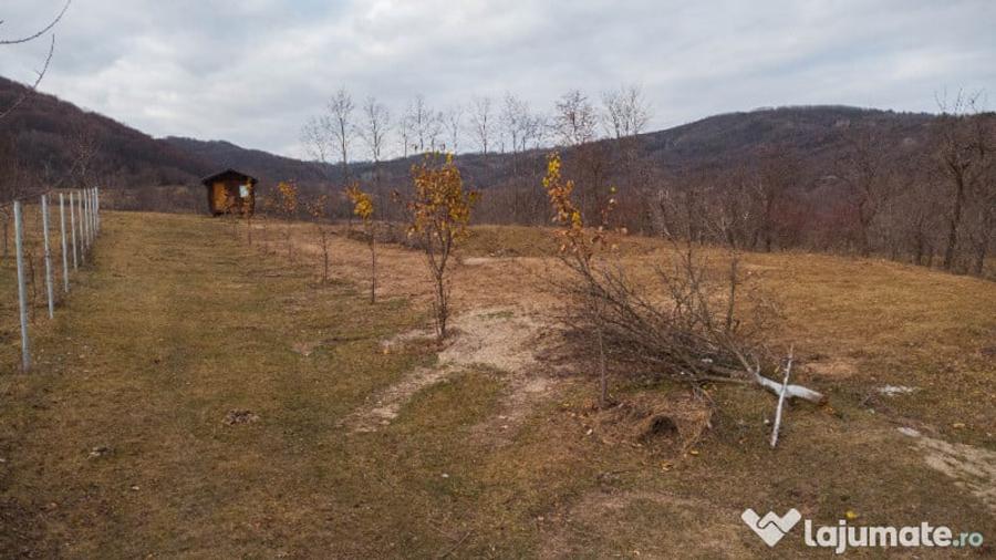 Teren cu suprafa?a de 5100mp amplasat intr-o zona superba de munte - 5
