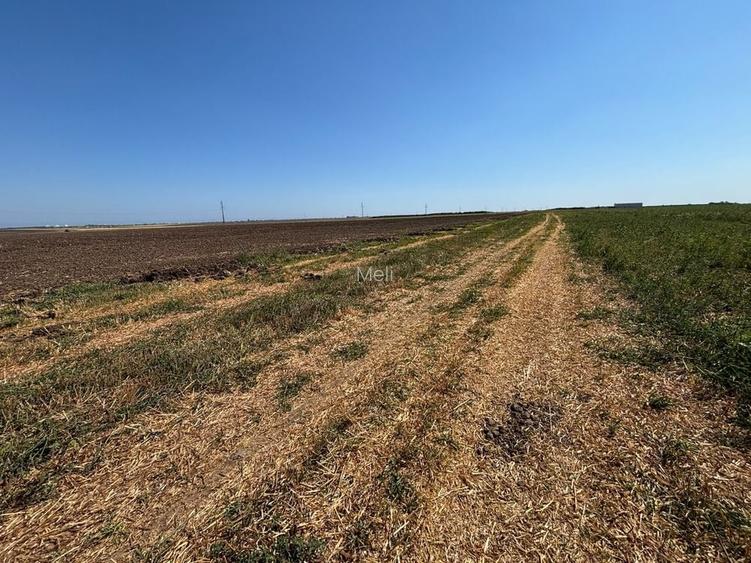 TEREN 15.000 MP Agigea extravilan cu front 102,64 m acces auto si PUZ pentru intrare in intravilan mentionat in C.U.