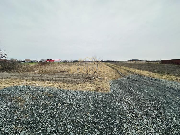 Teren Construcții intravilan de 694 mp, în Sânmihaiu Român