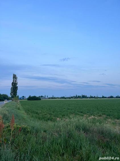 Teren de 7500 mp, în Albești-Paleologu