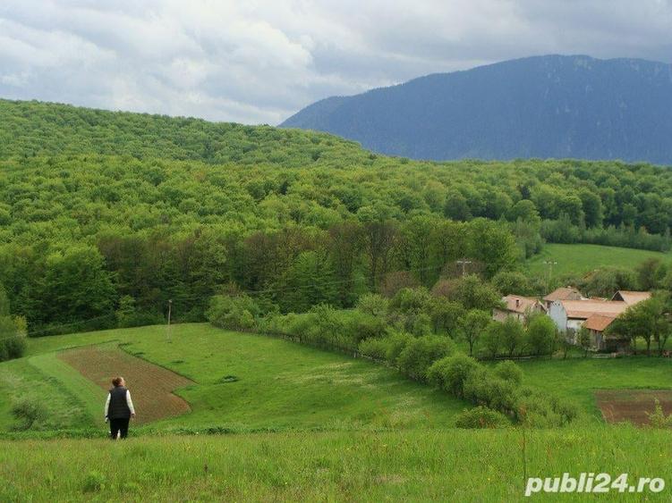 Teren de 11600 mp, în Poiana Mărului