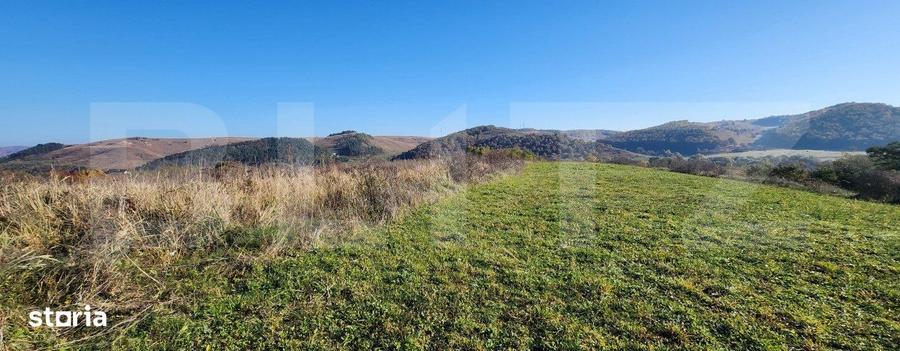 Teren de 963 mp, în Sava