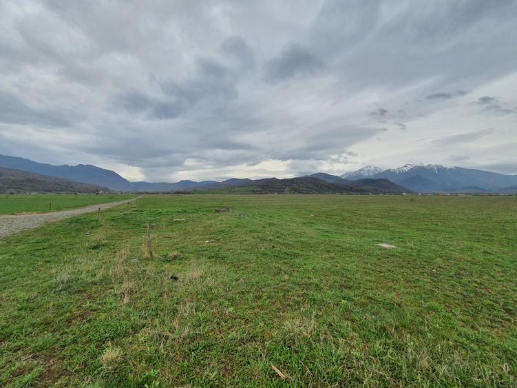 Teren Construcții intravilan de 1000 mp, în Glăjărie