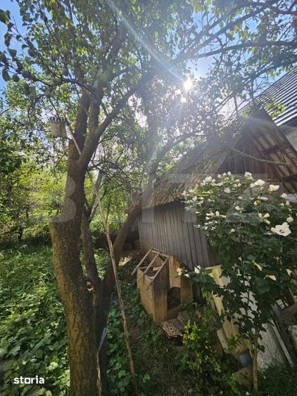 Casă cu 4 camere cu Teren 780 Mp în Borhanci