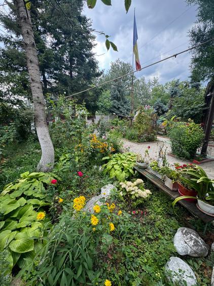 Casă cu 9 camere cu Piscina în Băneasa