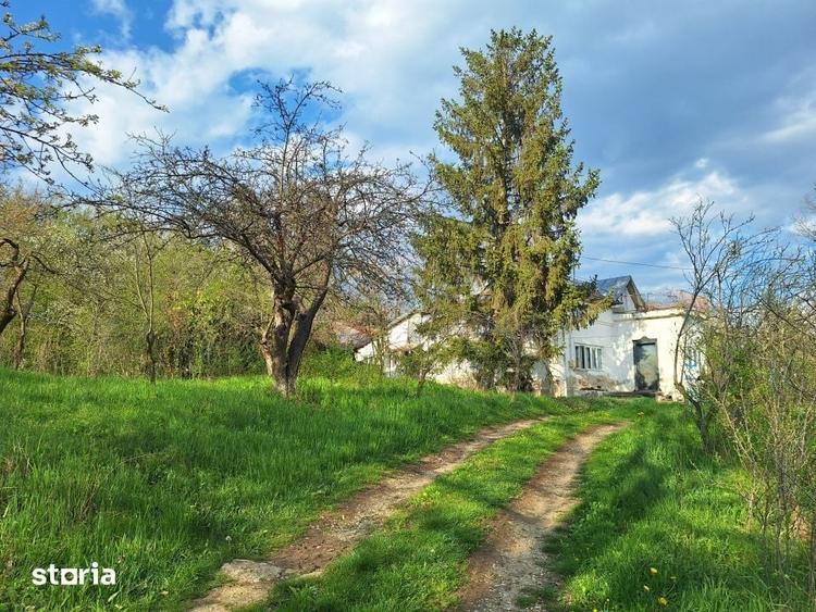 Casă cu 5 camere cu Teren 5950 Mp în Scorțeni