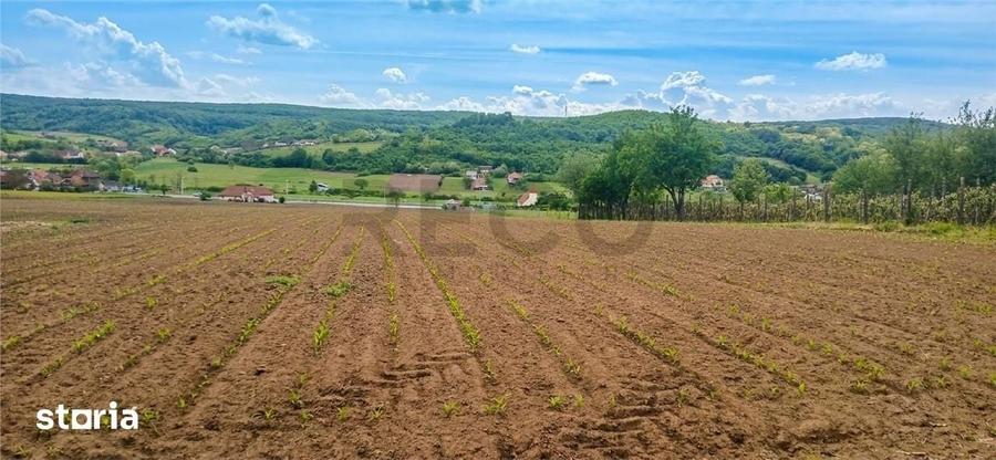 Teren de 500 mp, în Hidiș
